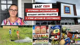Штормовое Предупреждение | Большая Закупка Продуктов | с Этими Детками Не Соскучишься