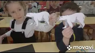 Знакомство с обитателями северного полюса.