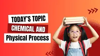 Chemical vs. Physical Processes: What’s the Difference?