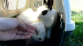 besos Lúa y Oliver