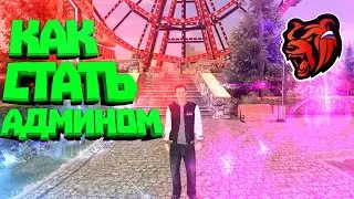 КАК СТАТЬ АДМИНИСТРАТОРОМ НА БЛЕК РАШЕ || КАК ПРОЙТИ ОБЗВОН НА АДМИНА || BLACK RUSSIA || RED