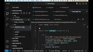 Configuración de Axios para realizar el login.