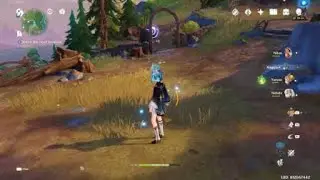 Genshin 4.2 Nilou bloom vs Local Legend Liam