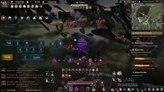 PVE COMBO sorceress succession