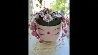 Variegated and Regular String of Hearts In 4