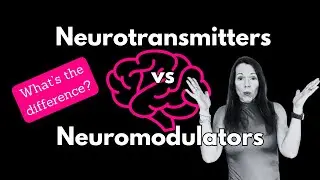Neurotransmission vs  Neuromodulation Brain Science Stuff