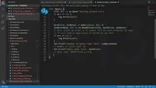 Golang Deep Dive P1 - L50 - Read Data From File