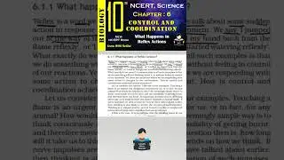 Control and Coordination | Chapter 6 | What Happens in Reflex Actions | NCERT | Biology | Tamil