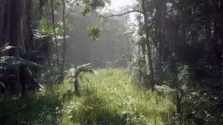 Can it Run Crysis? | MW Tropical Rainforest Trees Biome | Incredible Unreal Engine 5 Demo