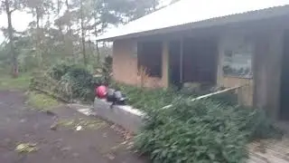 Heboh Tempat pembuatan kopi arabika bajawa