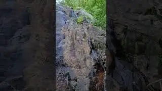 #canada #nature #naturelovers #hiking #forest #waterfall