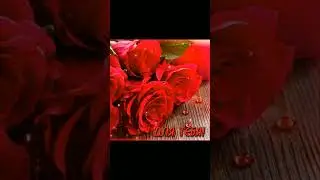 Марат Нова - Женщина любимая #песня#музыка#популярное#любовь#рекомендации#8марта