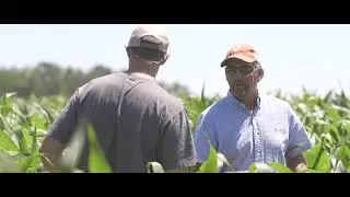 QuickRootsⓇ Technology Showcases Impressive In-Season Benefits in Corn