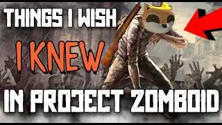 Things I Wish I Knew In Project Zomboid