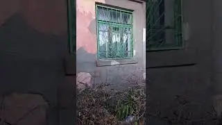 Ростовское педагогическое училище на Дзержинского 3... Потом колледж... Теперь ничего...
