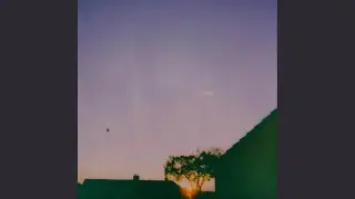 in the morning
