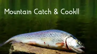 Trolling at Green Peter Reservoir!! |Aggressive Spring Trout|
