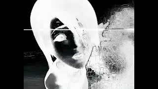 WHAT DO YOU FEAR? - OZZHTX, Nedaj, Amore