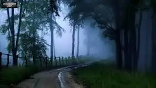 Чеченские клипы(78)