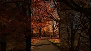 Fall is the best photography season