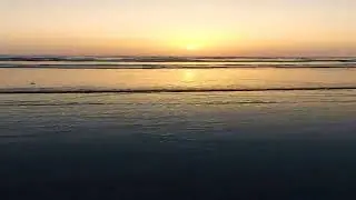 Seaview #seaview #fvp #shortvideo