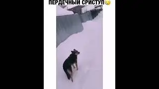 Очкушник 🤣🤣😁