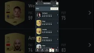 BASE ICON SBC PACK (MAX 86)