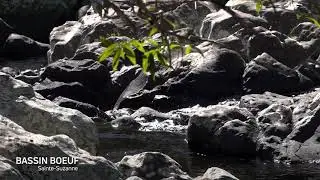 Île de La Réunion - Bassin Boeuf