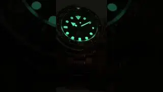 Seiko Prospex Tuna Marine Master Professional 300m sbbn031
