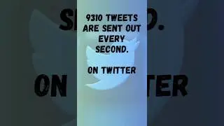 Facts on Twitter #facts #shorts #viral