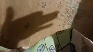 Shadow Theater - Chris De Burgh - Borderline