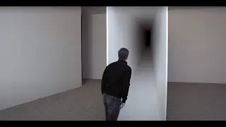 Daniel Steegmann Mangrané's 'Fog Dog' at Esther Schipper