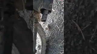 #Отстрелы на альфе