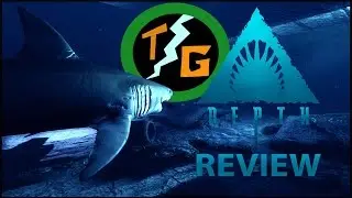 Depth Review (After one year)