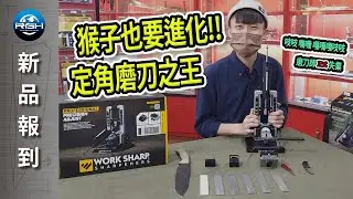 【RGH】Work Sharp  PROFESSIONAL PRECISION ADJUST™ KNIFE SHARPENER 最專業定角磨刀器