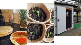 Vlog 🇩🇪/ Супер Крепкая Рассада 🌱 Огурцов🥒/Эксперимент Удался/Блинчики🥞 С Икрой