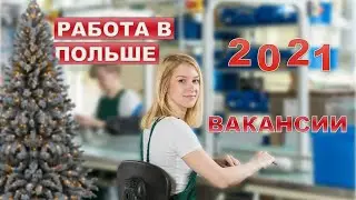 Работа в Польше в 2021 году. Актуальные вакансии 