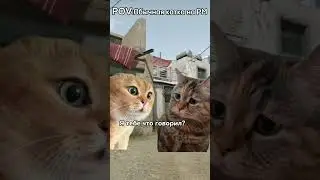ЖИЗА НА РМ ВАРФЕЙС 