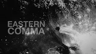 Eastern Comma, Multimedia Film based on Yoppy Pieter's photographic essay. A film by Erwin Darmali.