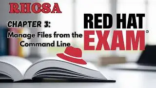 Master Linux File Management in 10 Minutes FAST!