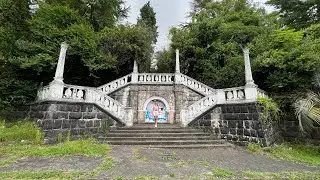 Сухумская гора. Что я тут увидела в гуще зарослей заброшенного места