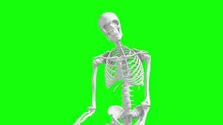 Tenge Tenge Dance 4 Views Green Screen Skeleton #TENGE #GREENSCREEN #skeleton