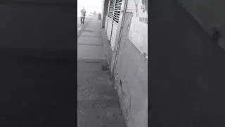 Fui A Un Oxxo El 7 De Enero Del 2021