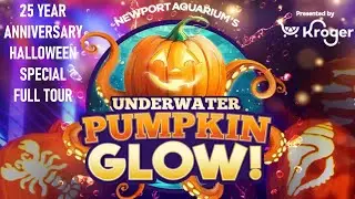 Newport Aquarium Halloween & 25th Anniversary Tour!