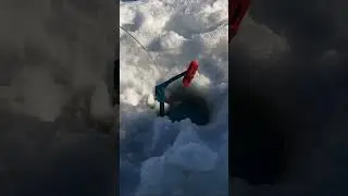 Полная размотка жерлицы 😉👍 