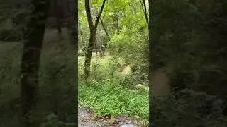 Bike with me - Trail B (iPhone video experiment)