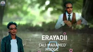 Heeskii baraf daauud xanfar studio filfil