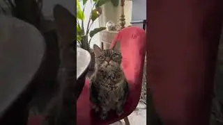 Подозрительность...