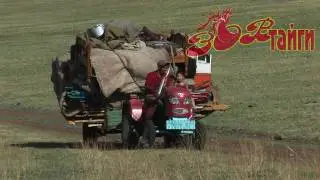 Дикая Монголия. Часть 3  Wild Mongolia. Part 3