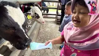 Bermain bersama hewan hewan di daerah Bogor